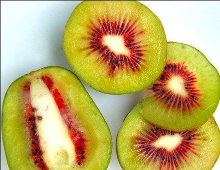 تصویر 4 از قیمت خرید کیوی تو سرخ + فروش ویژه